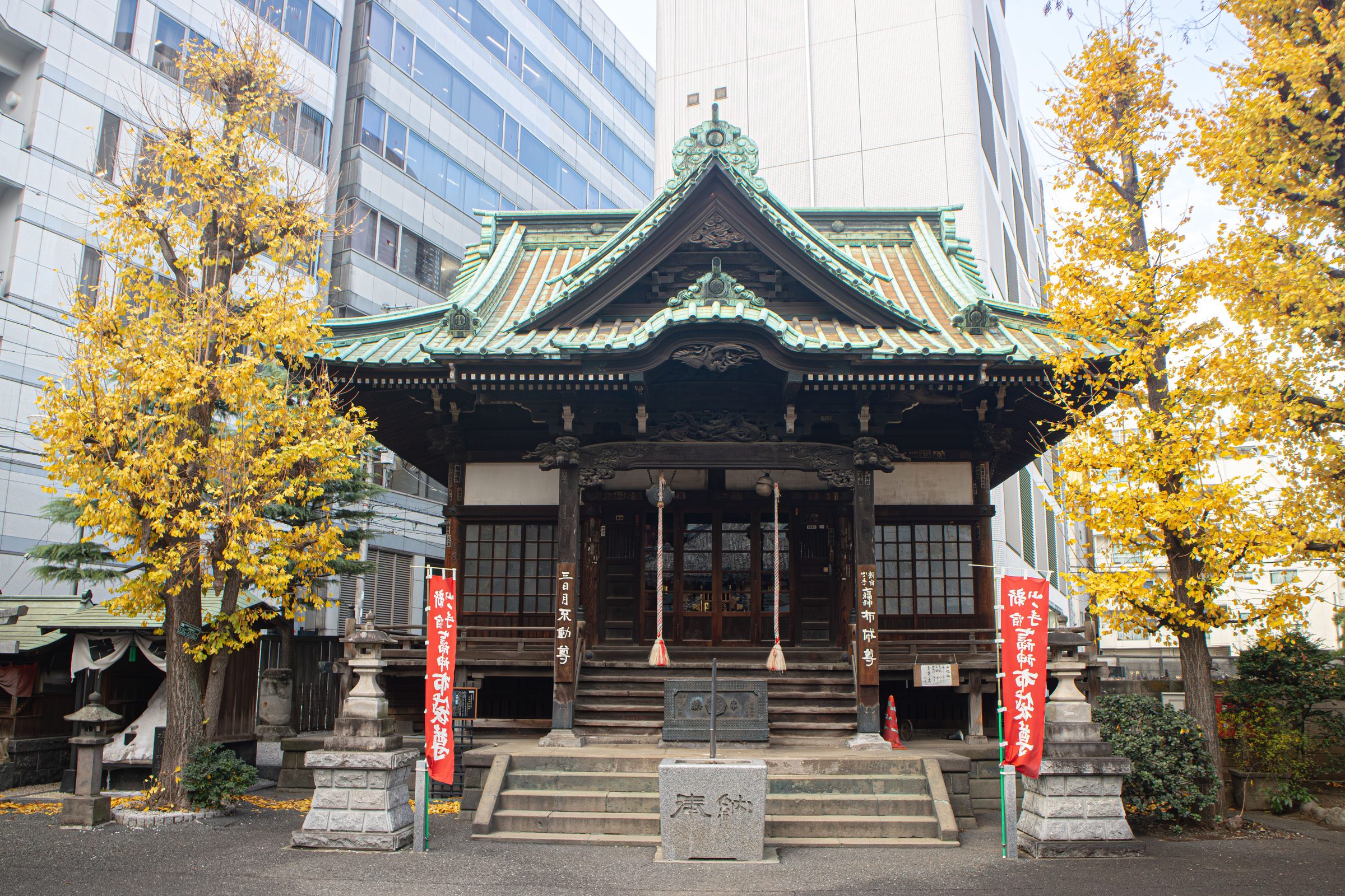 Traditional Japanese shrine with yellow ginkgo trees in the city.